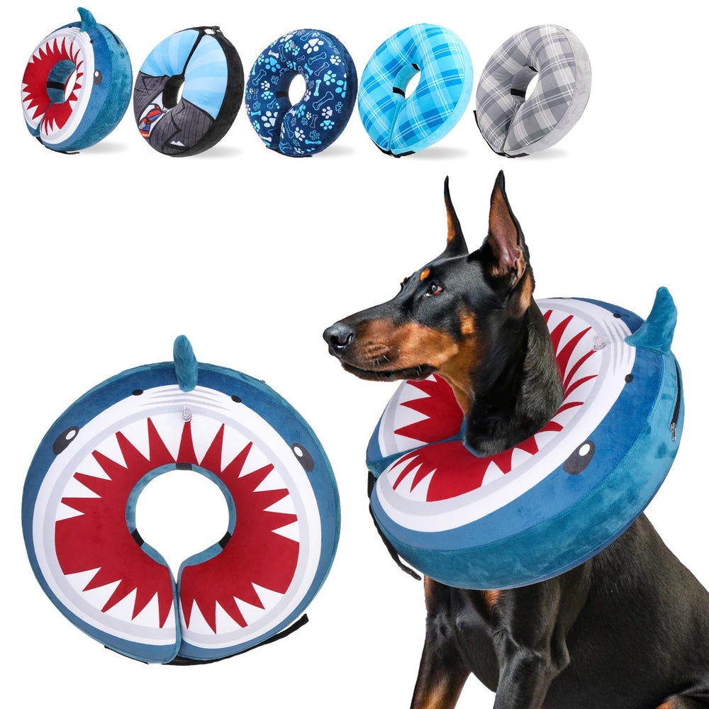 SCENEREAL donut dog collar on a dog offering comfortable recovery and clear visibility.
