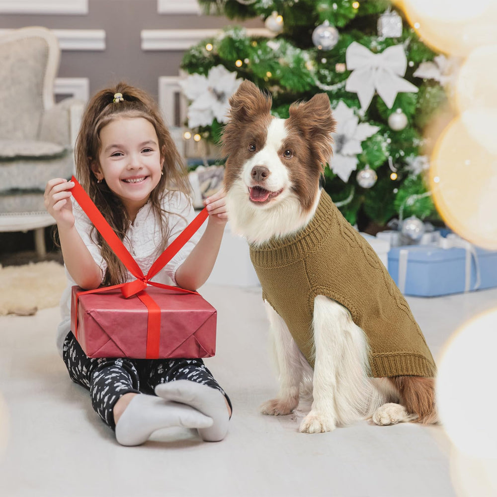SCENEREAL Fall Dog Sweater with leash hole enables easy outdoor walks