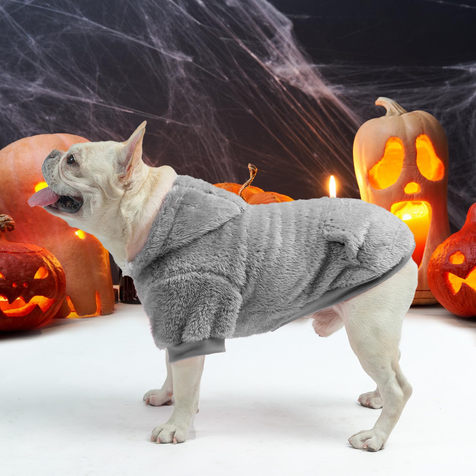 SCENEREAL fleece dog sweater hoodie black color versatile for all seasons.