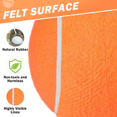 SCENEREAL two-pack includes pump and needle for easy inflation before playtime