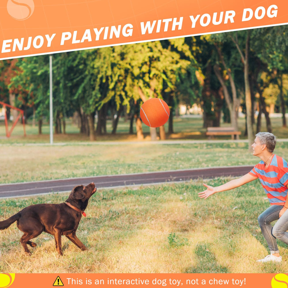 SCENEREAL durable dog toy supports playtime in parks yards and pools