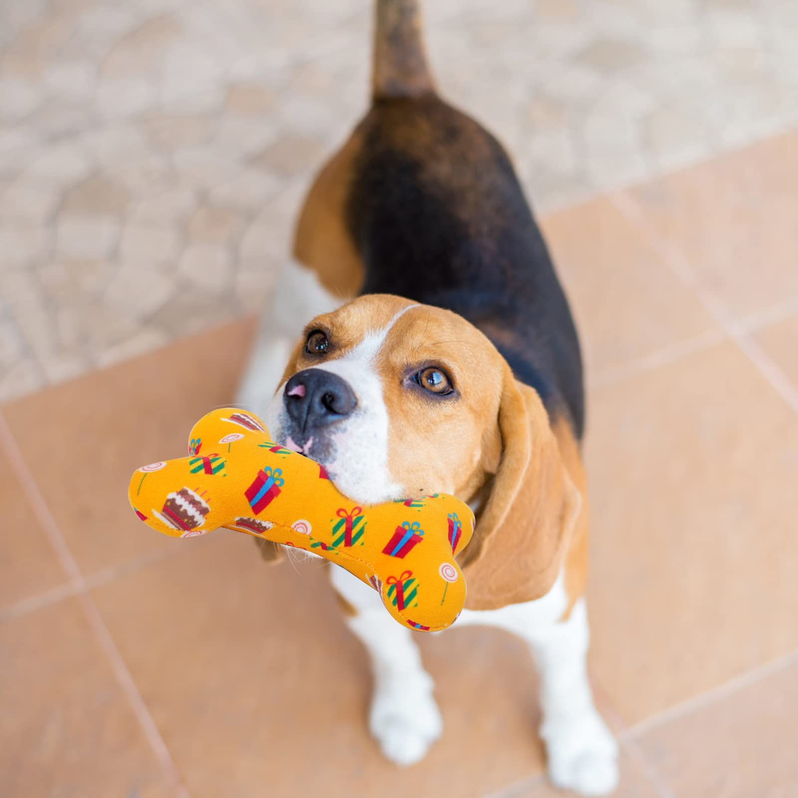 SCENEREAL gift-ready dog toys for rewards and celebrations