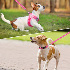 SCENEREAL harness collar leash setup in pink plaid for convenient daily adventures.