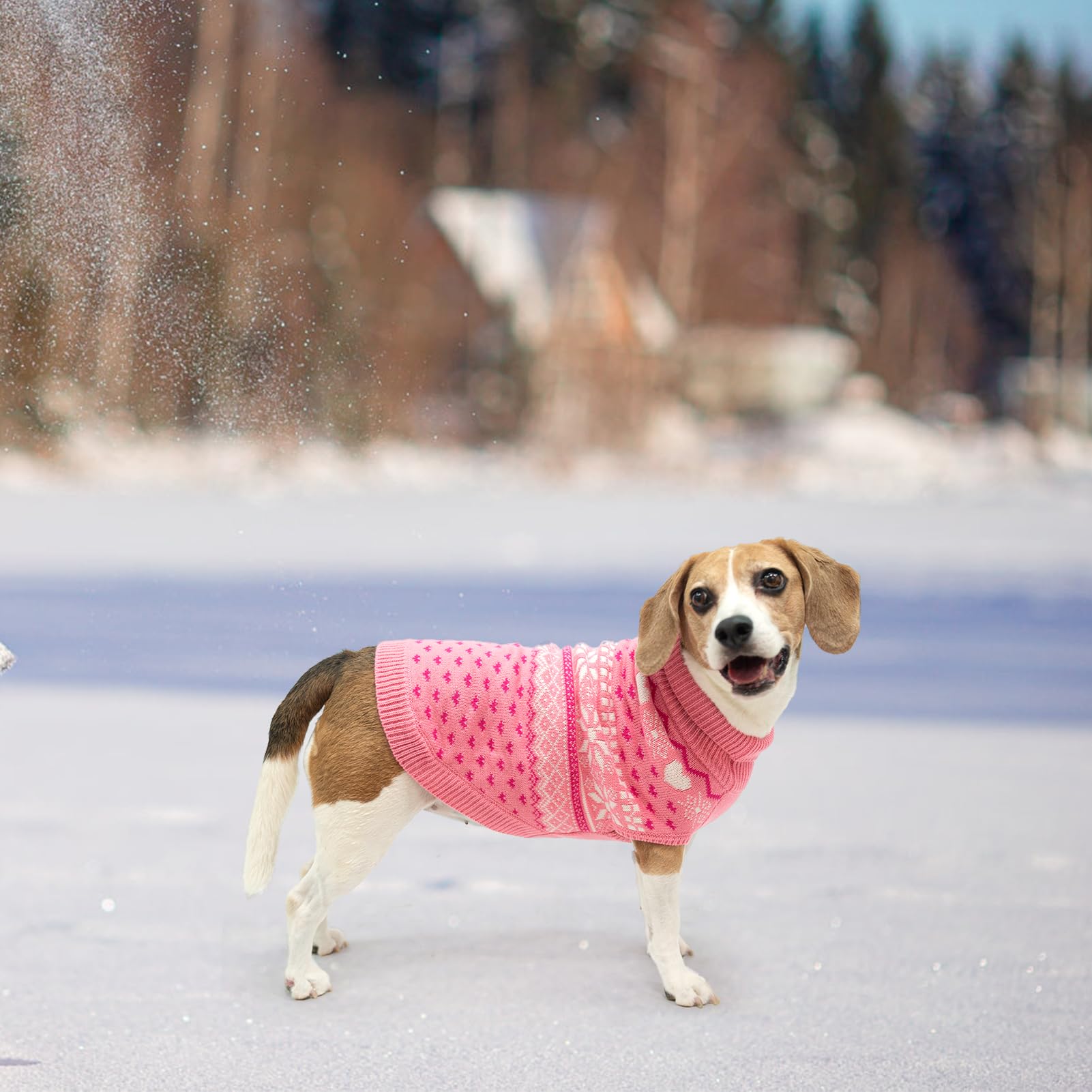 SCENEREAL holiday dog sweater keeps pets festive and comfortable.