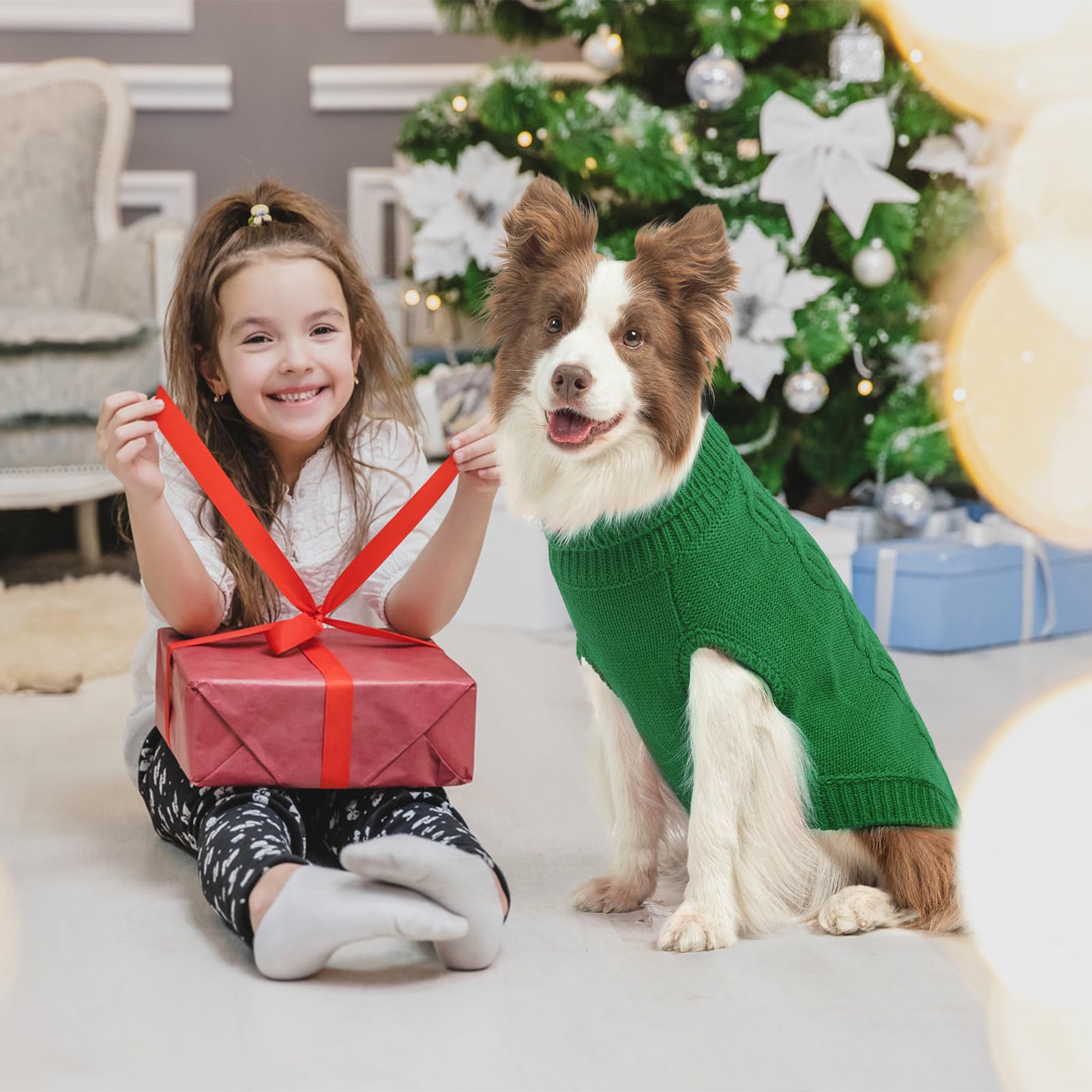 SCENEREAL knitted dog sweater green warmth silhouette suggests cozy protection during autumn and winter.
