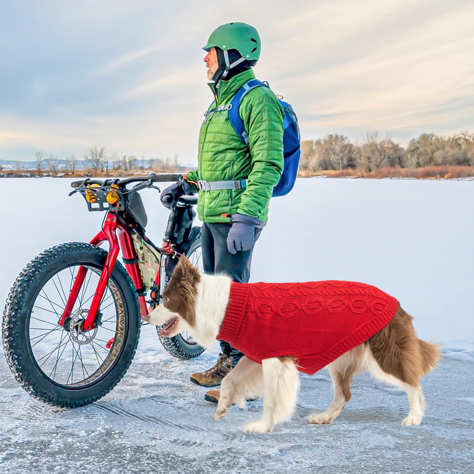 SCENEREAL knitted dog sweater red size guide helps proper fit