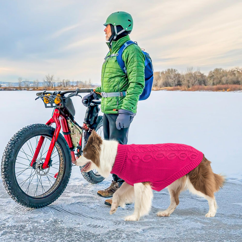 SCENEREAL on-dog wearing view showcases rose red color in real life.