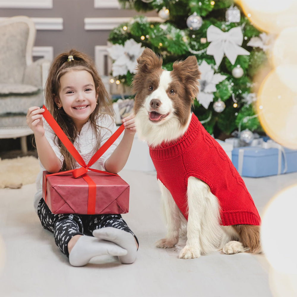 SCENEREAL knitted dog sweater XL on dog warmth suggests comfortable autumn and winter wear