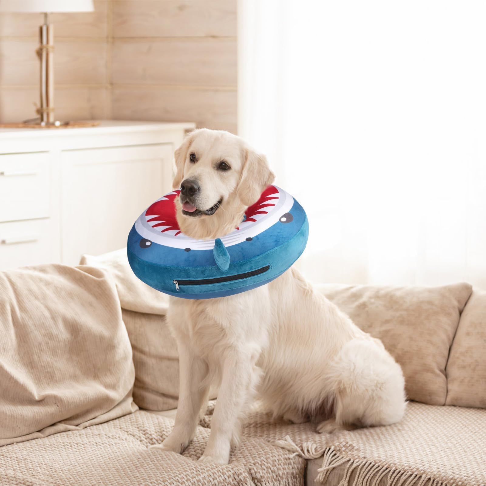 SCENEREAL dog or cat recovery use: supports post-care routines.
