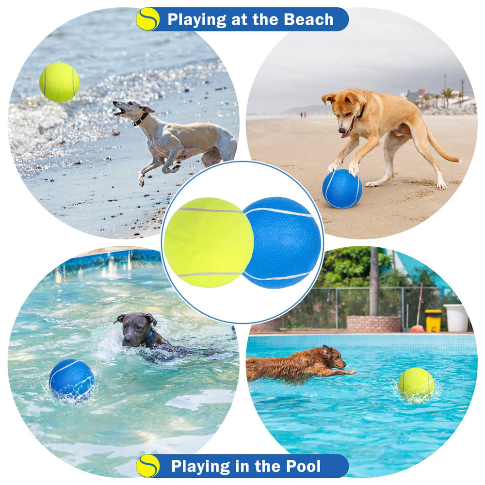SCENEREAL outdoor dog toy in action for park and yard play