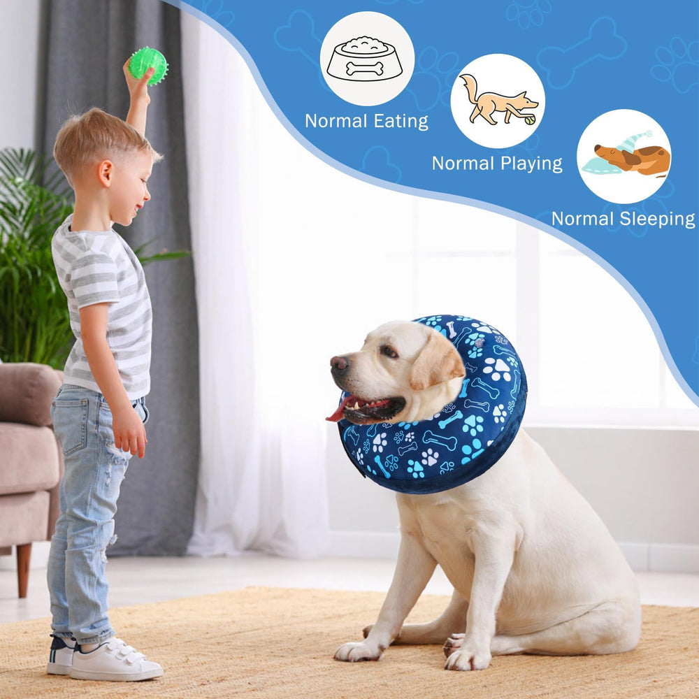 SCENEREAL paw-print donut collar recovery motif on dog