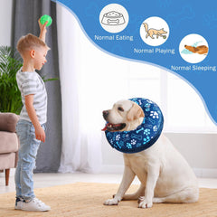 SCENEREAL paw-print donut collar recovery motif on dog