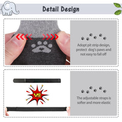 SCENEREAL paw-protection socks guard paws on hot or cold pavement.