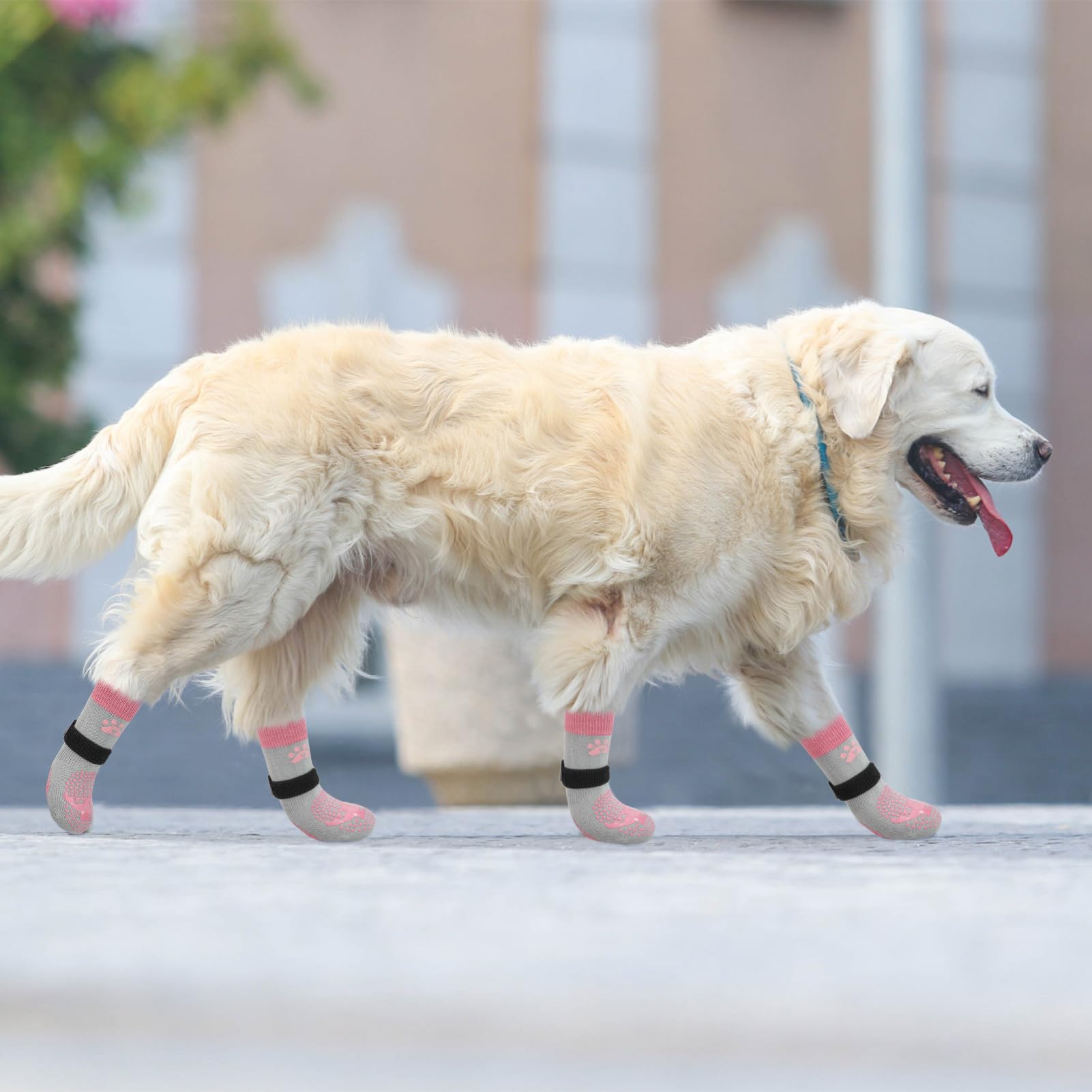 SCENEREAL paw protection for puppies to seniors on hot or rough pavements.