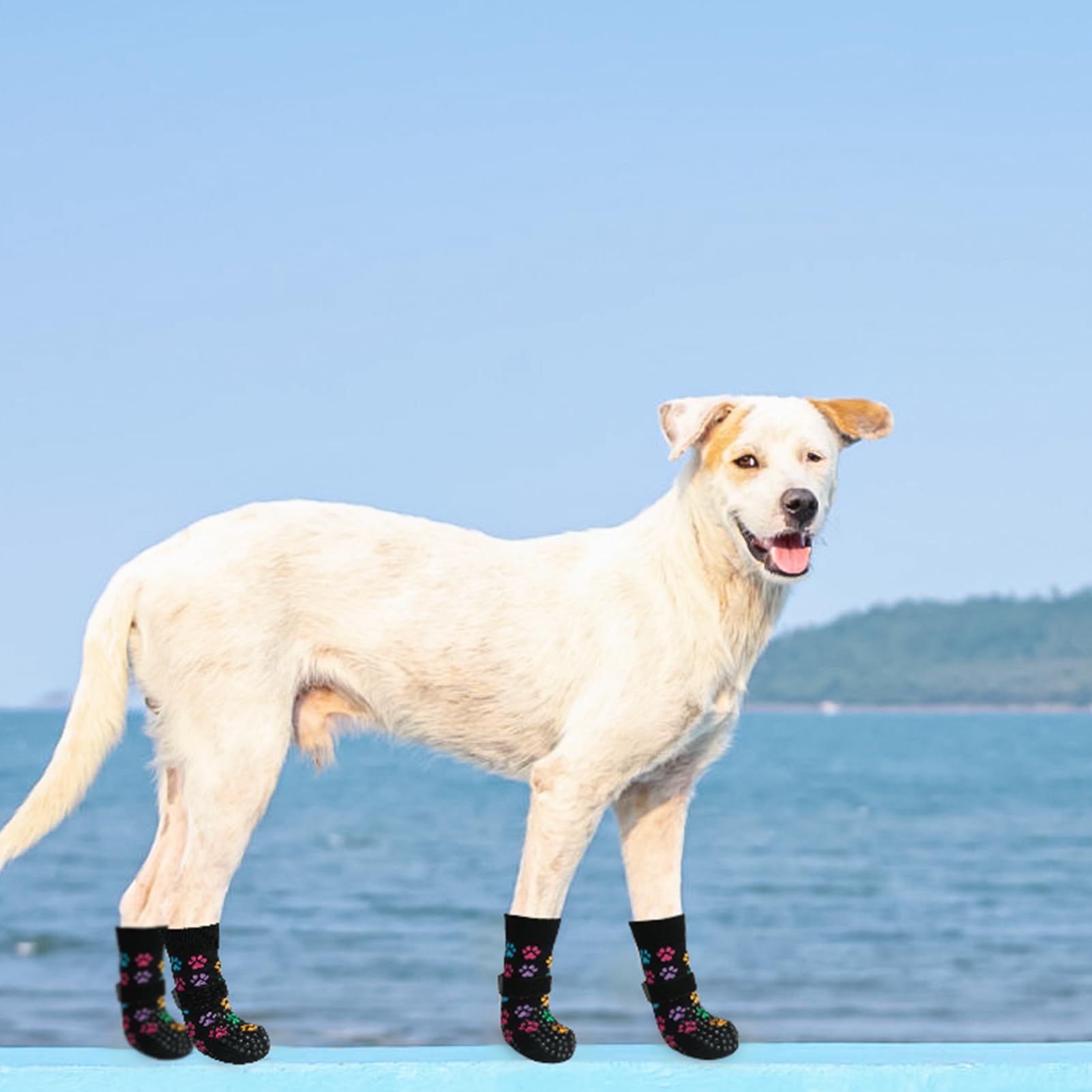 SCENEREAL paw protectors on hardwood floors prevent slips and floor marks.