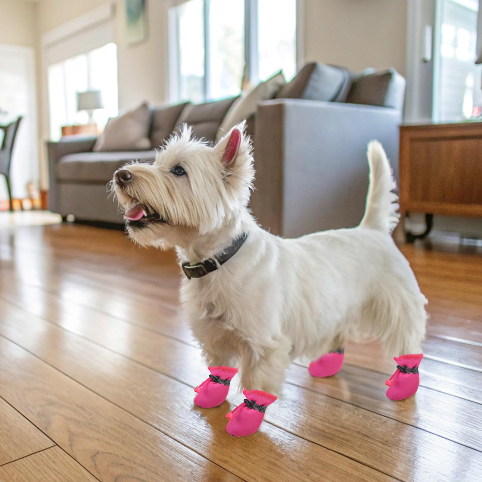 SCENEREAL pink dog shoes add style while protecting paws outdoors.