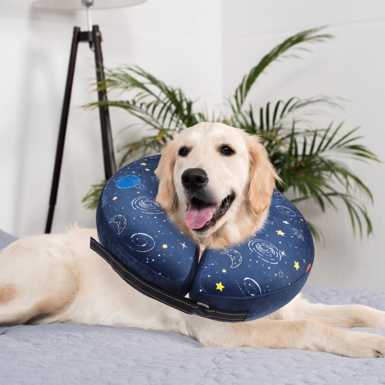 SCENEREAL airplane-travel-friendly collar for recovery on-the-go.