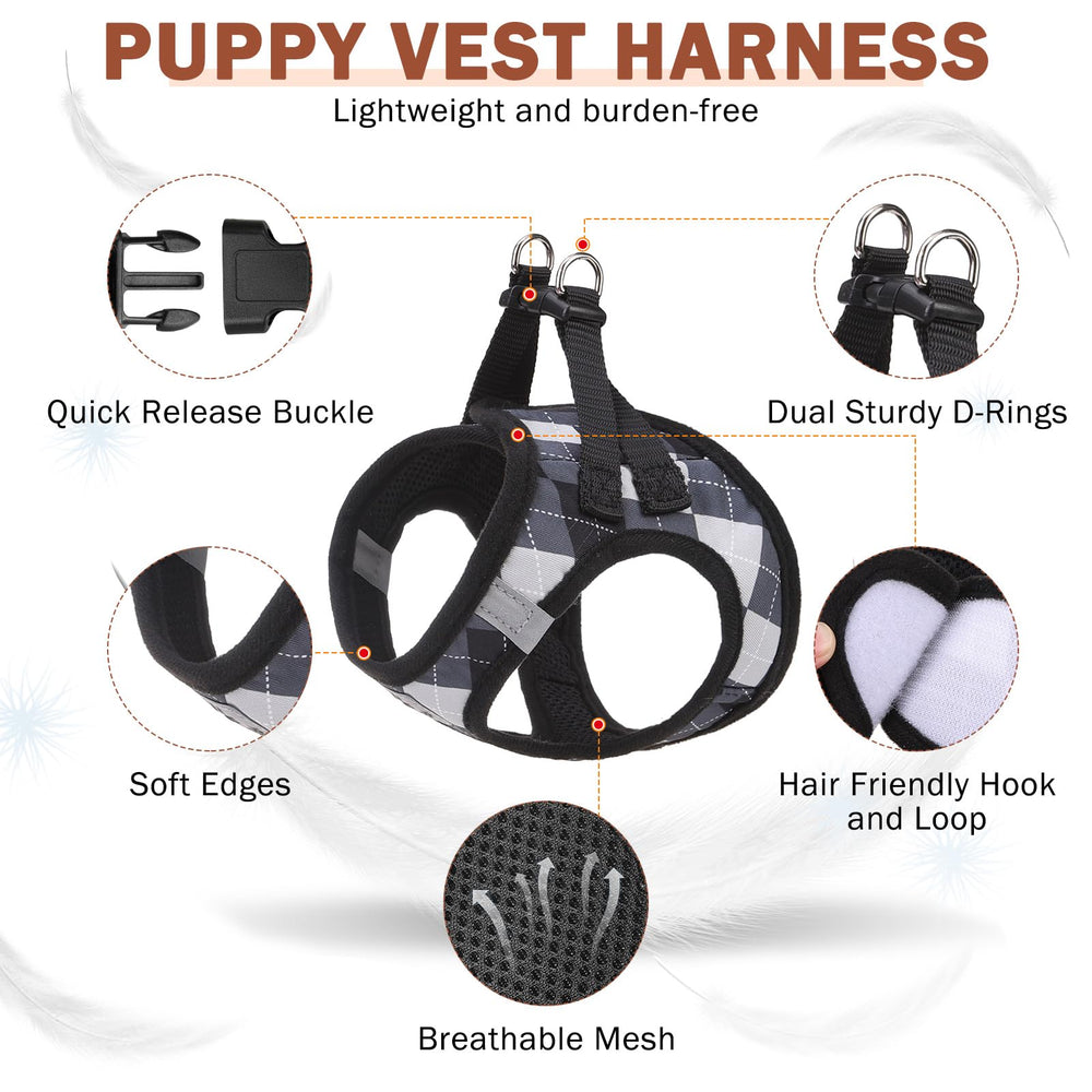 SCENEREAL reflective harness aids night visibility during walks.