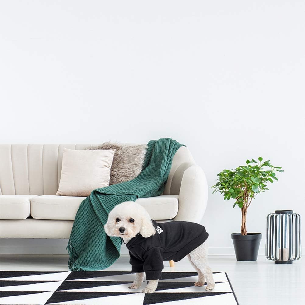 SCENEREAL security dog hoodie worn by dog demonstrates all-weather warmth.
