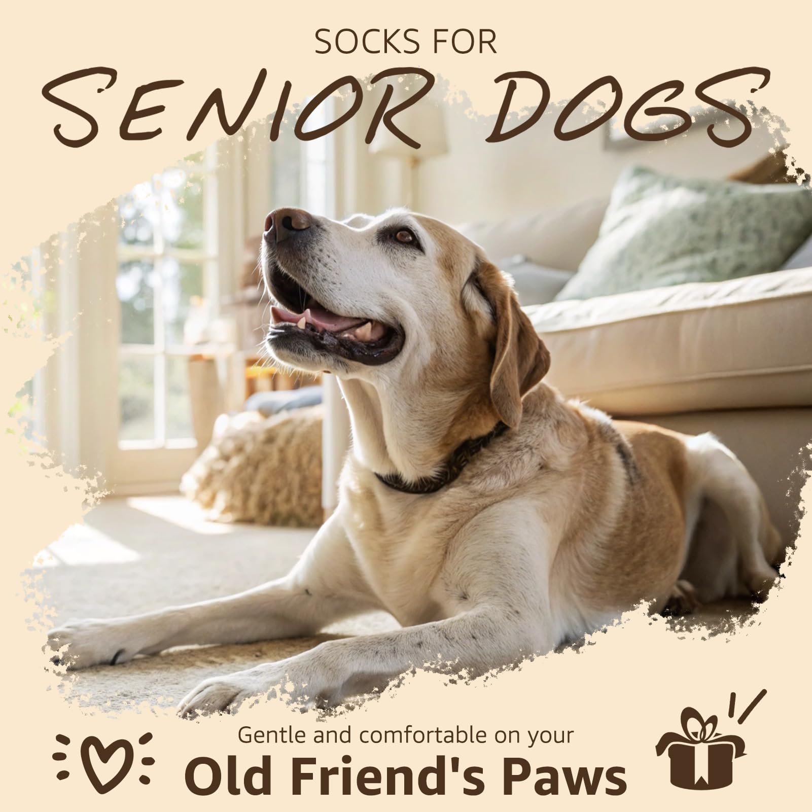 SCENEREAL senior dog wearing socks for added stability on surfaces.