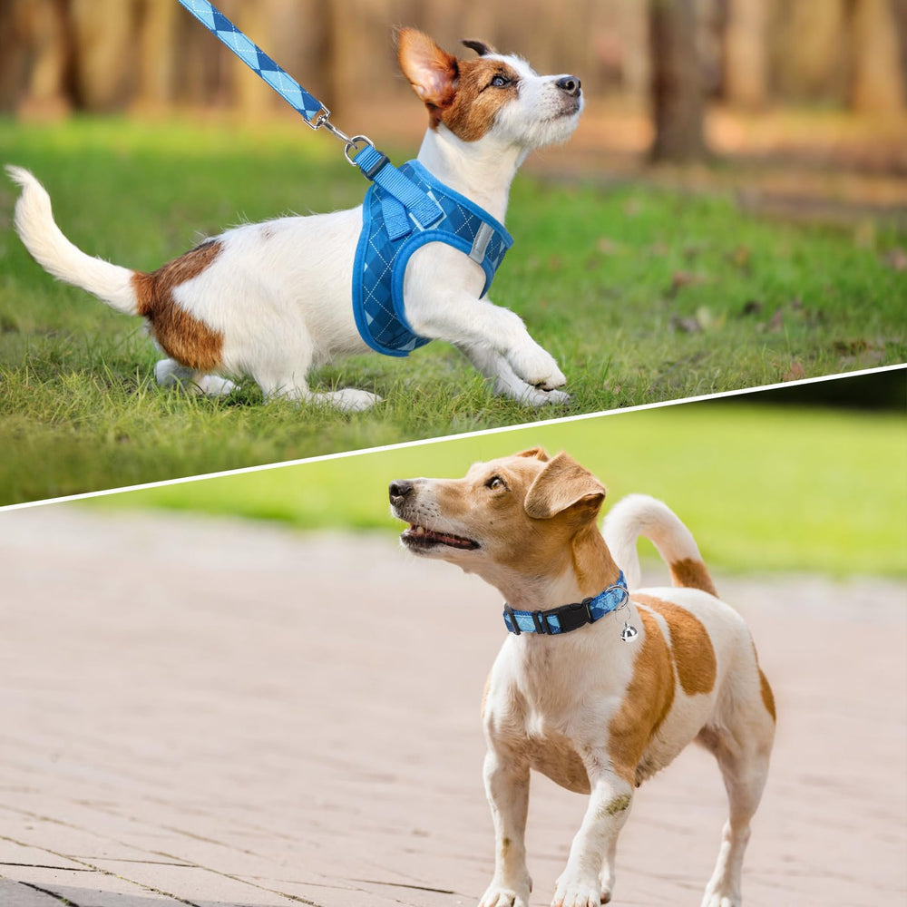 SCENEREAL small dog harness blue plaid back view highlighting the secure strap design