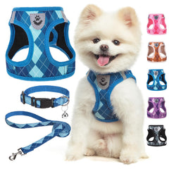 SCENEREAL small dog harness blue plaid setup for easy outdoor walks