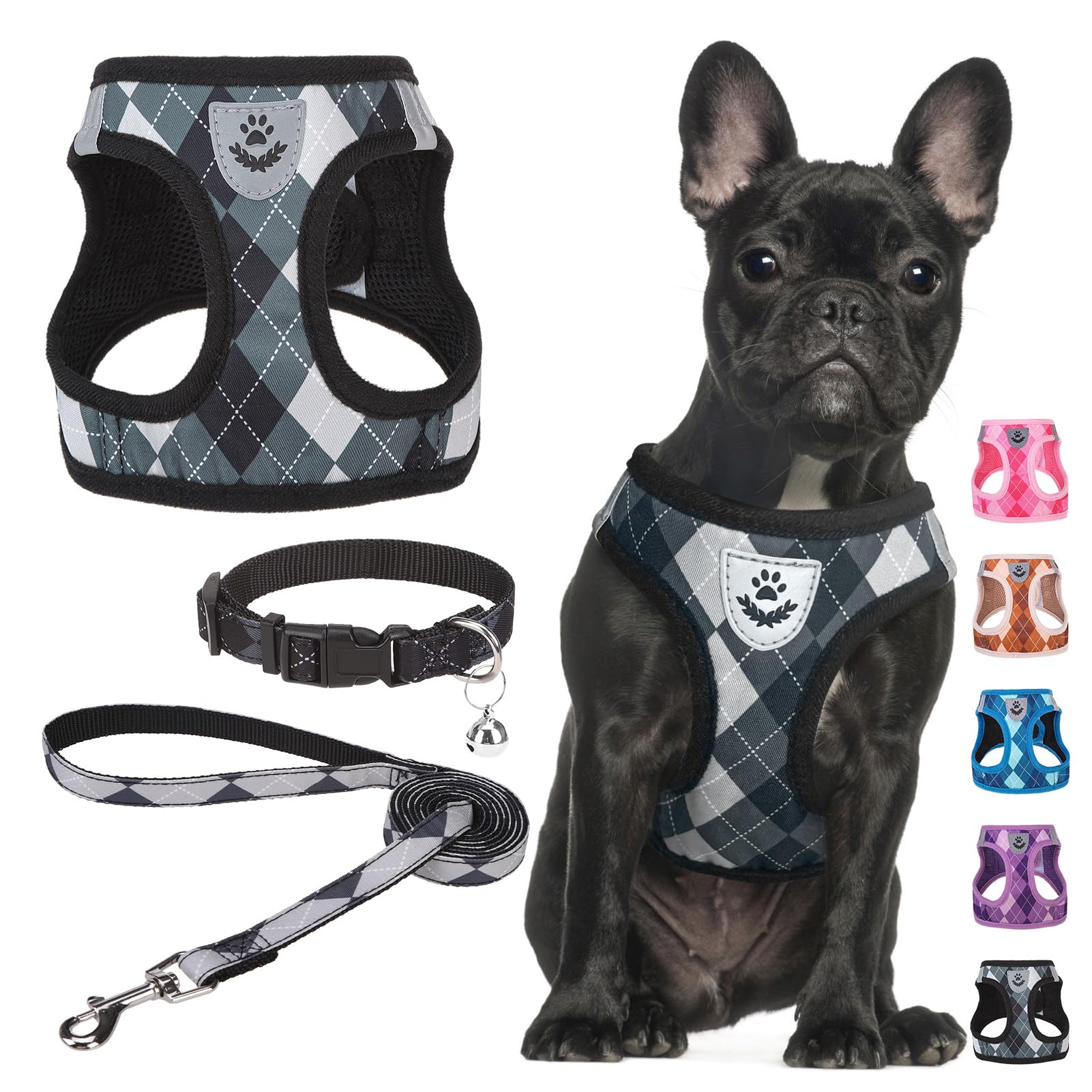 SCENEREAL harness buckle close-up showing quick-release design for easy step-in fit.