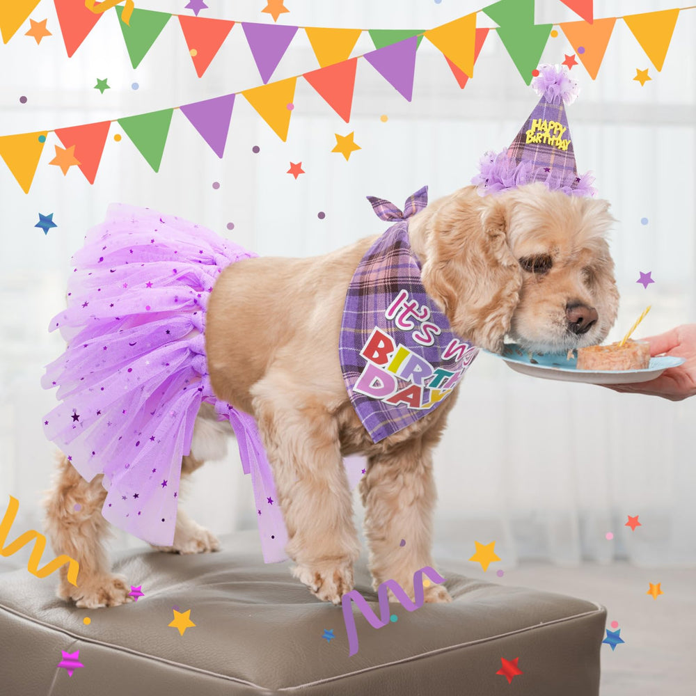 SCENEREAL small-to-medium dog outfit image emphasizes soft fabric and comfort.