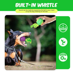 SCENEREAL squeaky tennis ball color pack improves visibility during fetch