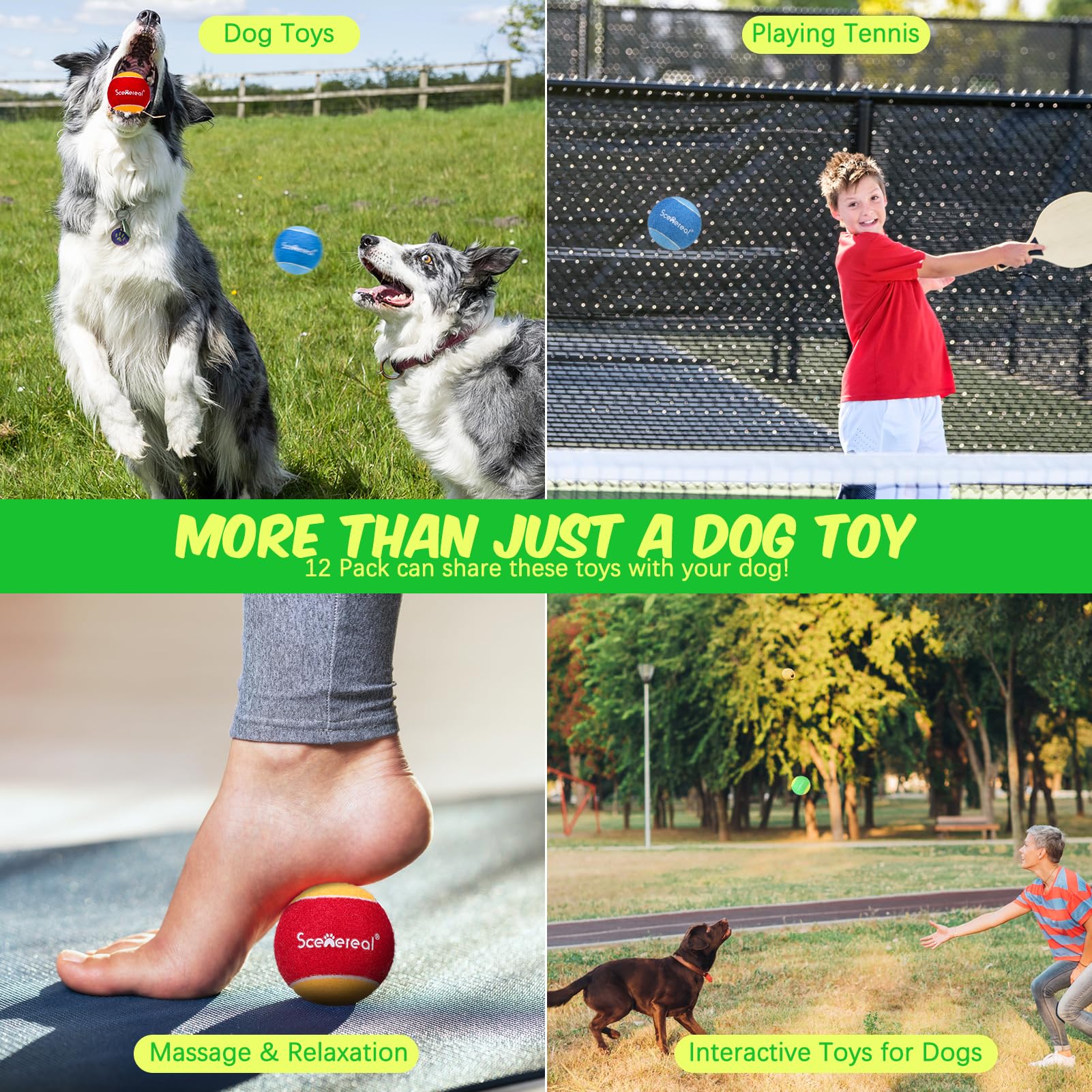 SCENEREAL squeaky tennis ball during puppy playtime for small to medium dogs