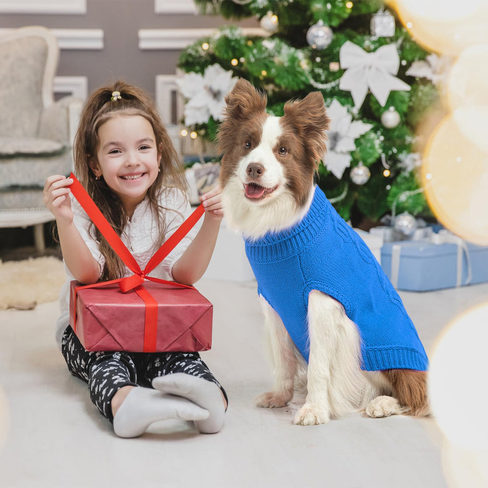 SCENEREAL sudadera perro uso diario otoño invierno mantiene confort y calidez