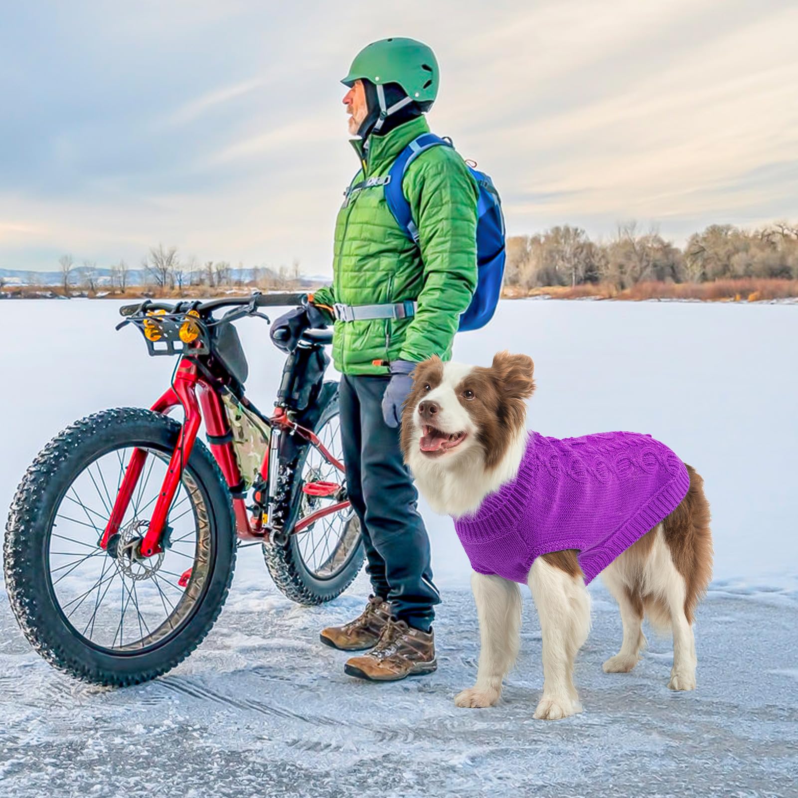 SCENEREAL suéter de punto para perro, textura tejida, ideal para inviernos diarios.