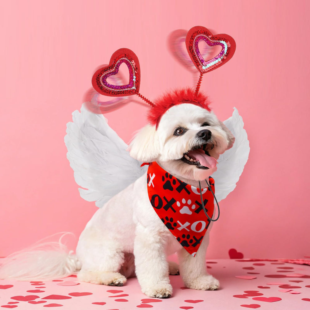 SCENEREAL Valentine scarf-bandana provides adjustable comfort for small to medium dogs.