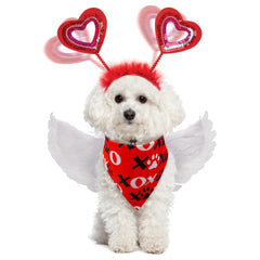 SCENEREAL Valentine dog wings in motion for photos and parties.