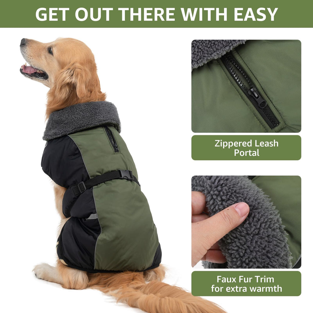 SCENEREAL adjustable buckles provide a snug, customizable fit for different dogs