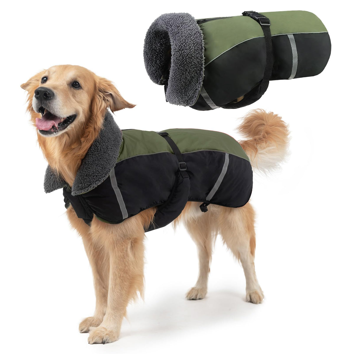 SCENEREAL warm dog winter coat back view highlighting full-body warmth for chilly walks