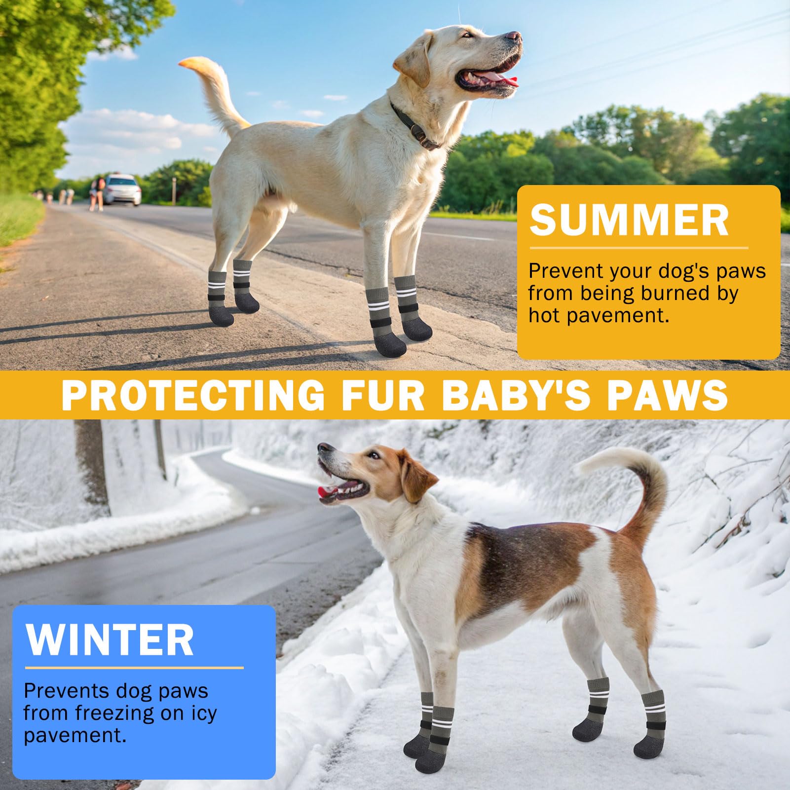 SCENEREAL winter dog socks in action showing warmth during chilly indoor outings