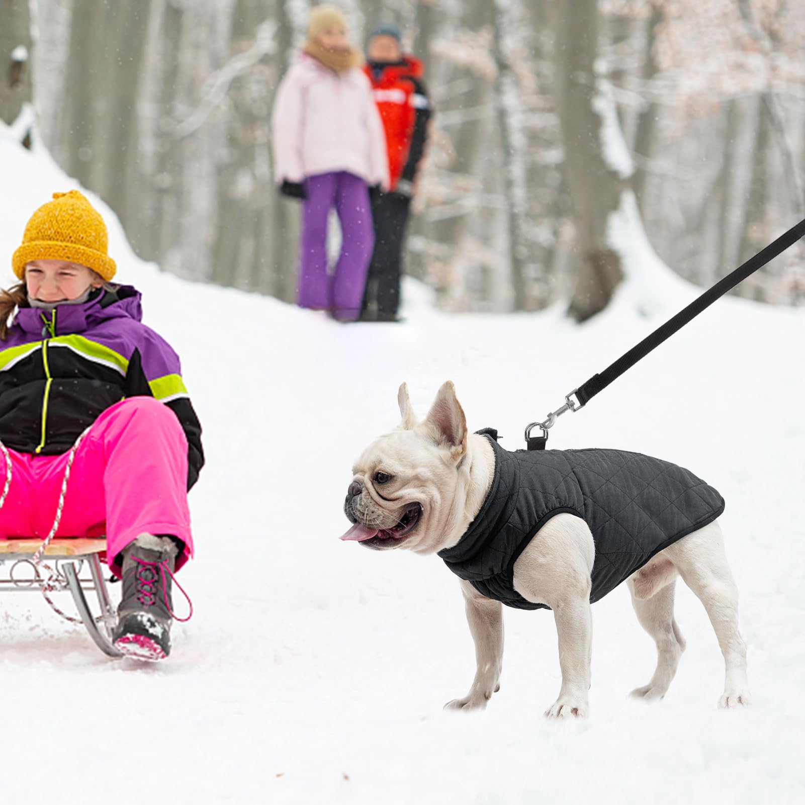 SCENEREAL winter dog vest belly cut eases potty breaks while keeping warmth.