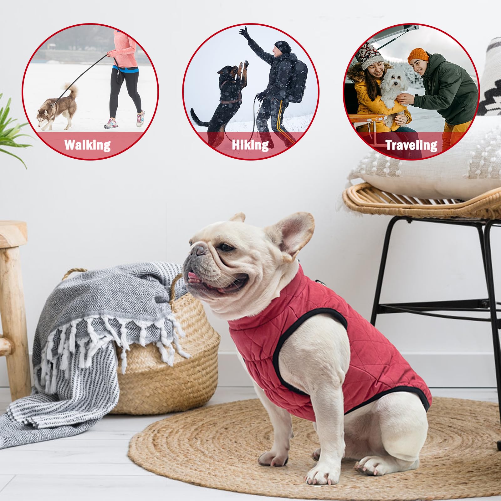 SCENEREAL winter dog vest belly cut allows easy bathroom breaks