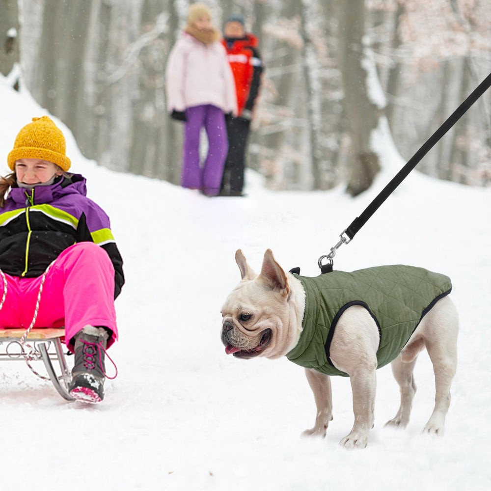 SCENEREAL Winter Dog Vest belly cut eases bathroom breaks during walks.