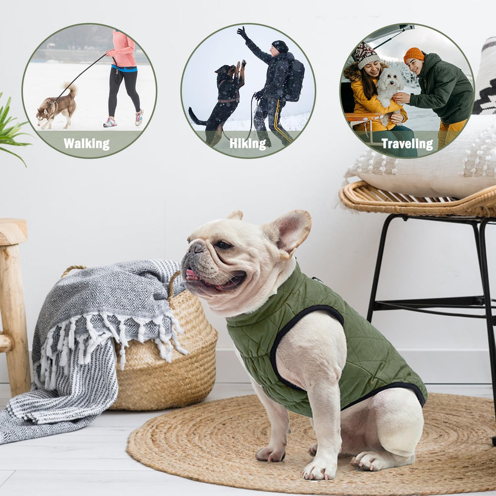 SCENEREAL Winter Dog Vest chest elastic band ensures snug fit and warmth.