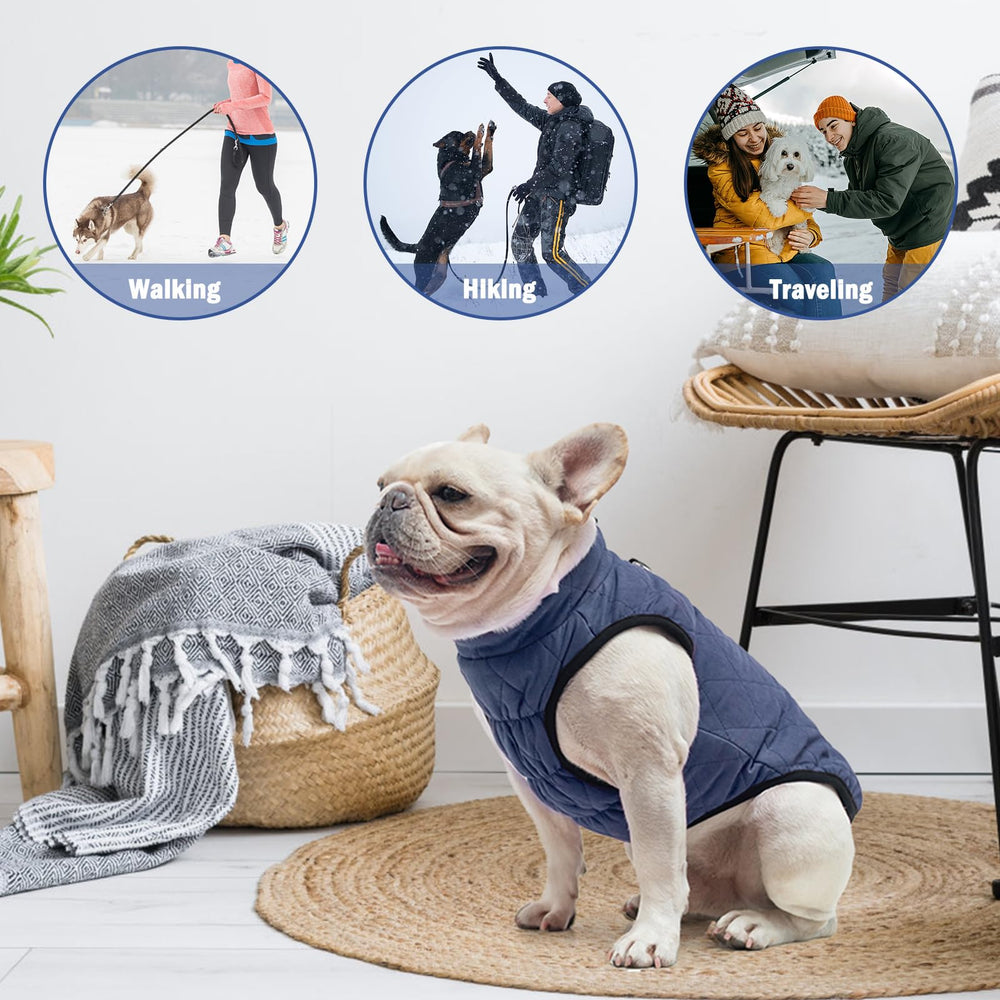 SCENEREAL back D-ring doubles as leash attachment for quick outdoor outings.