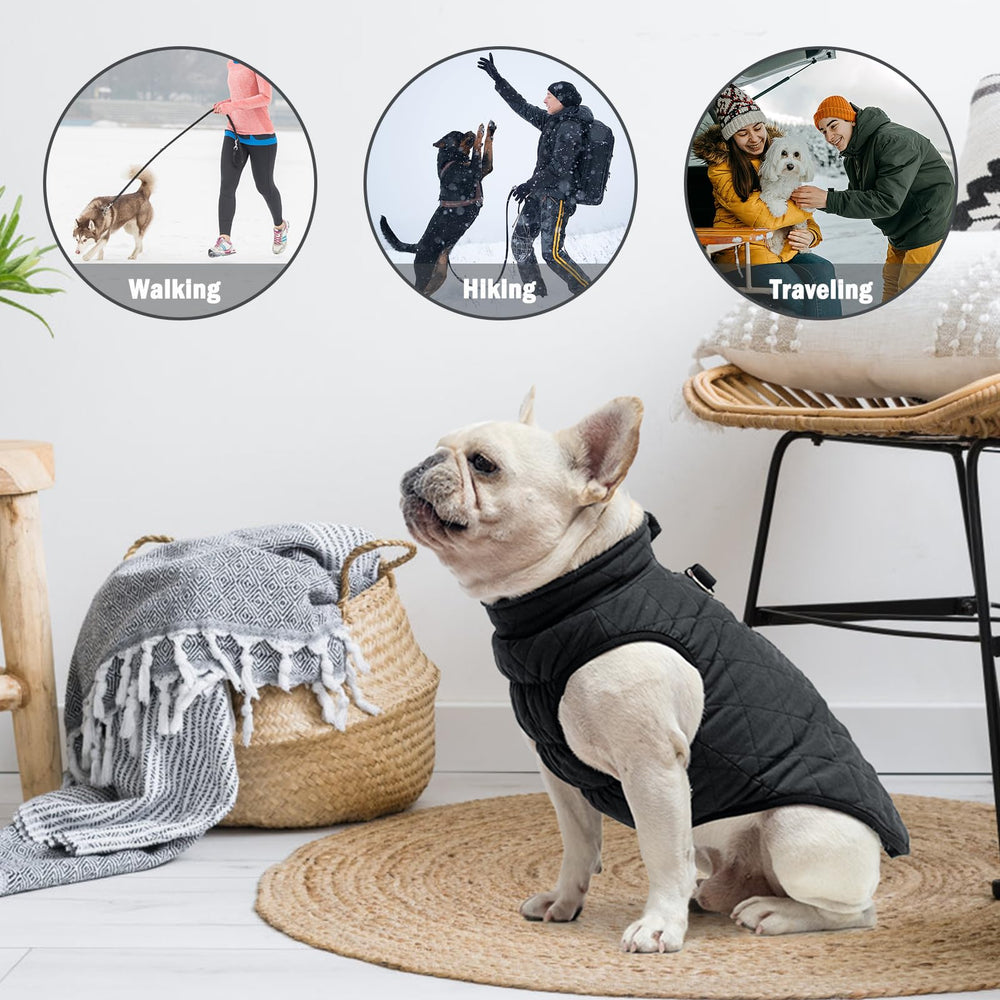 SCENEREAL winter dog vest coat elastic chest band for snug fit