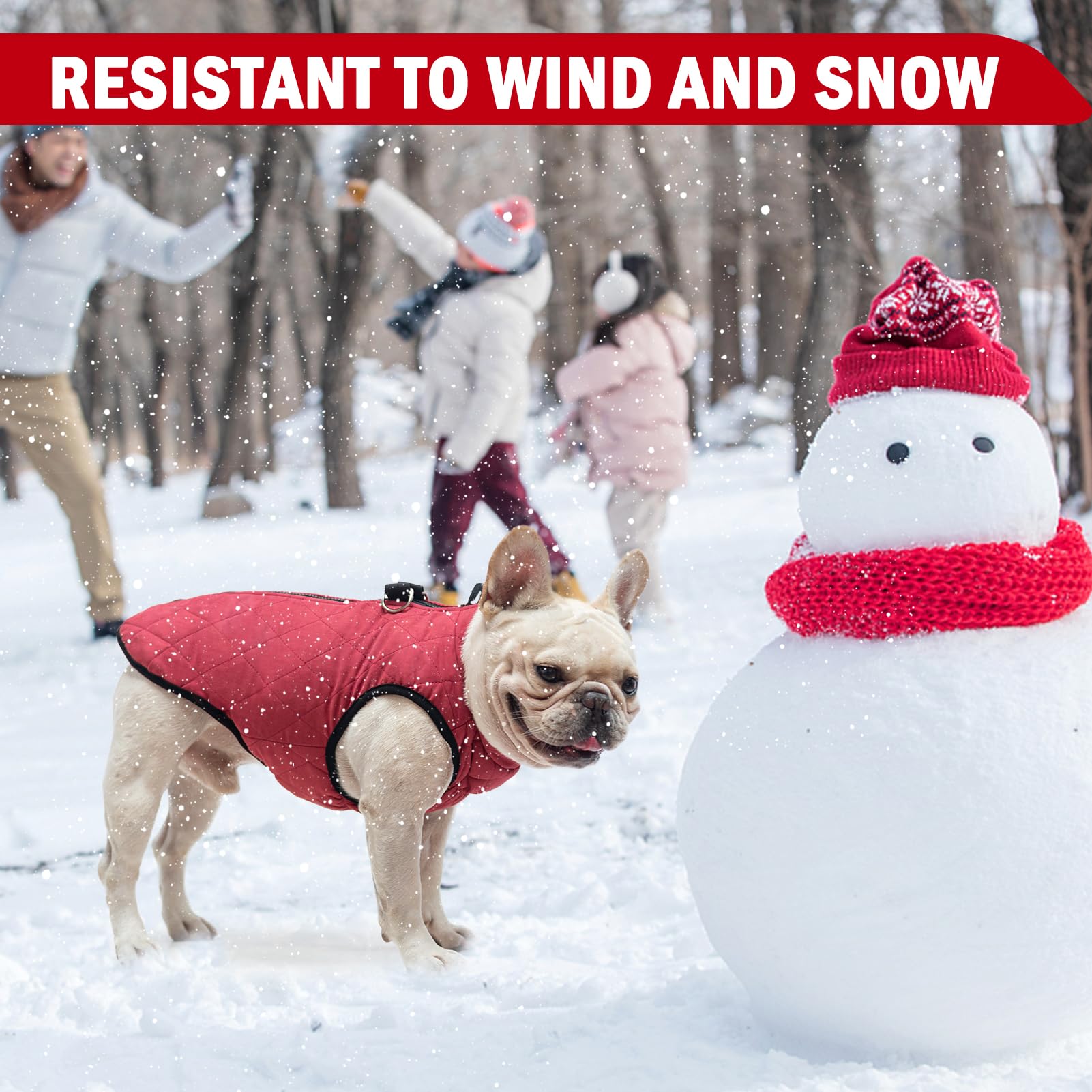 SCENEREAL winter dog vest inner fleece close-up highlights warm, cozy lining.