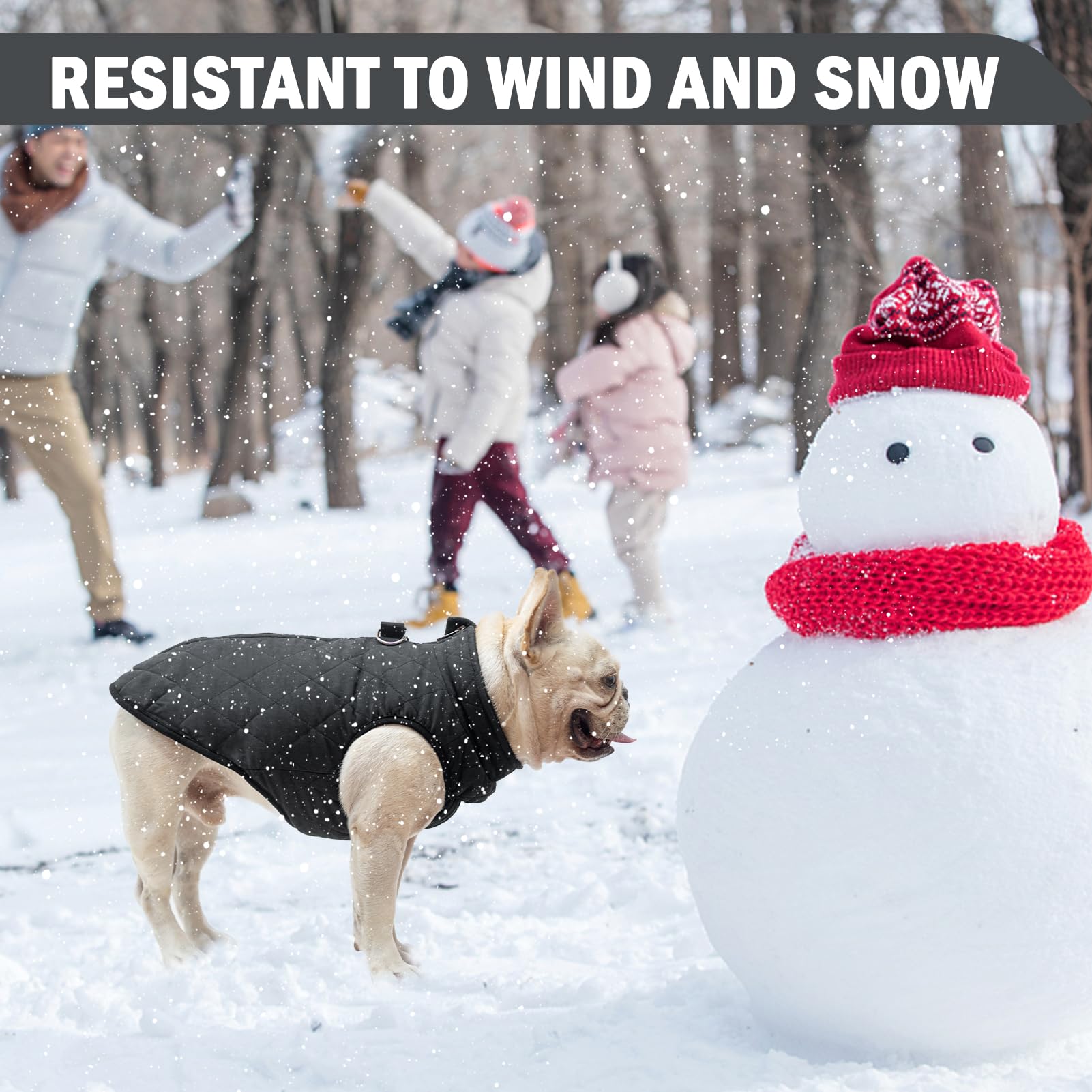 SCENEREAL winter dog vest zipper design ensures smooth closure and prevents snagging.