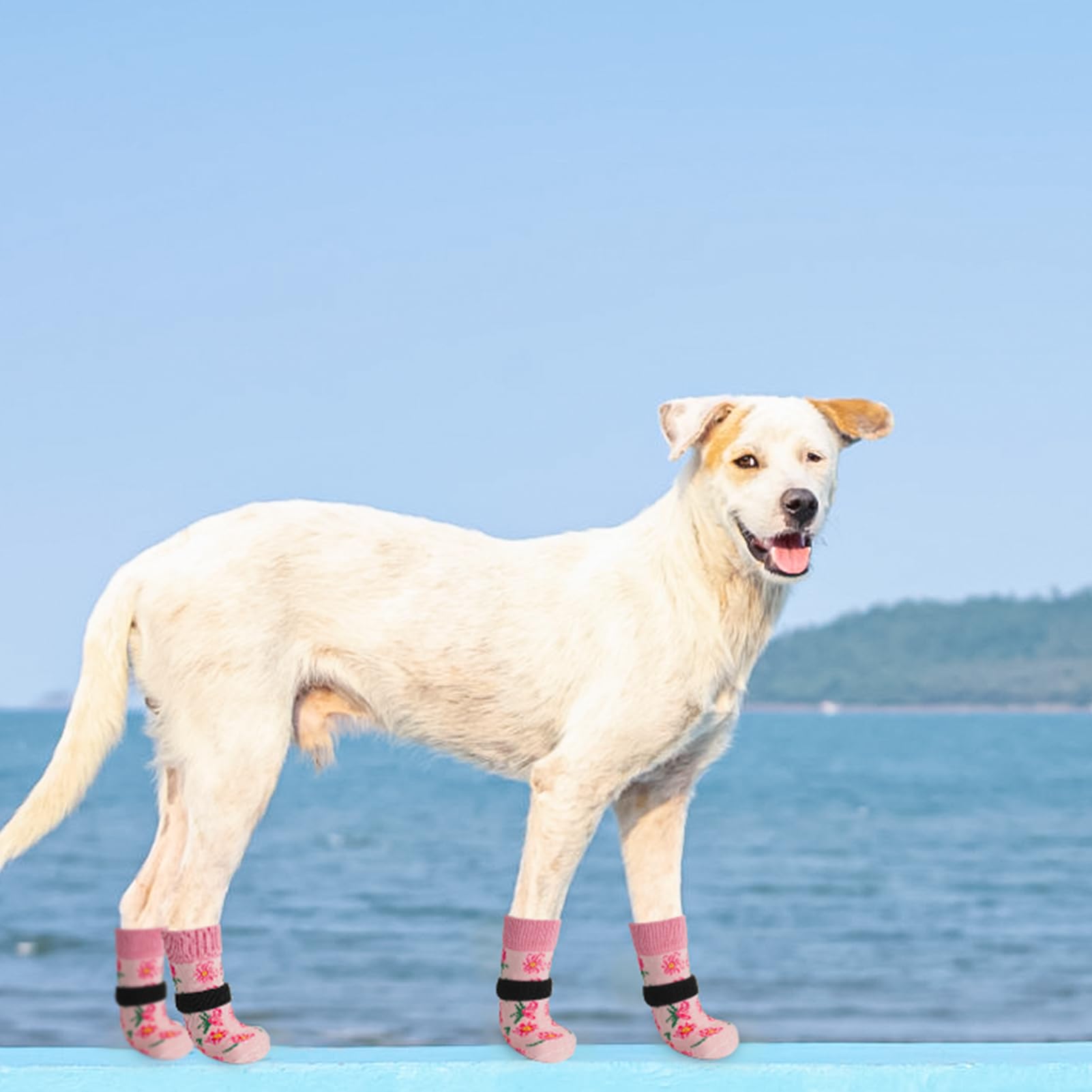 SCENEREAL zapatos para patas de perro con apoyo suave para interiores