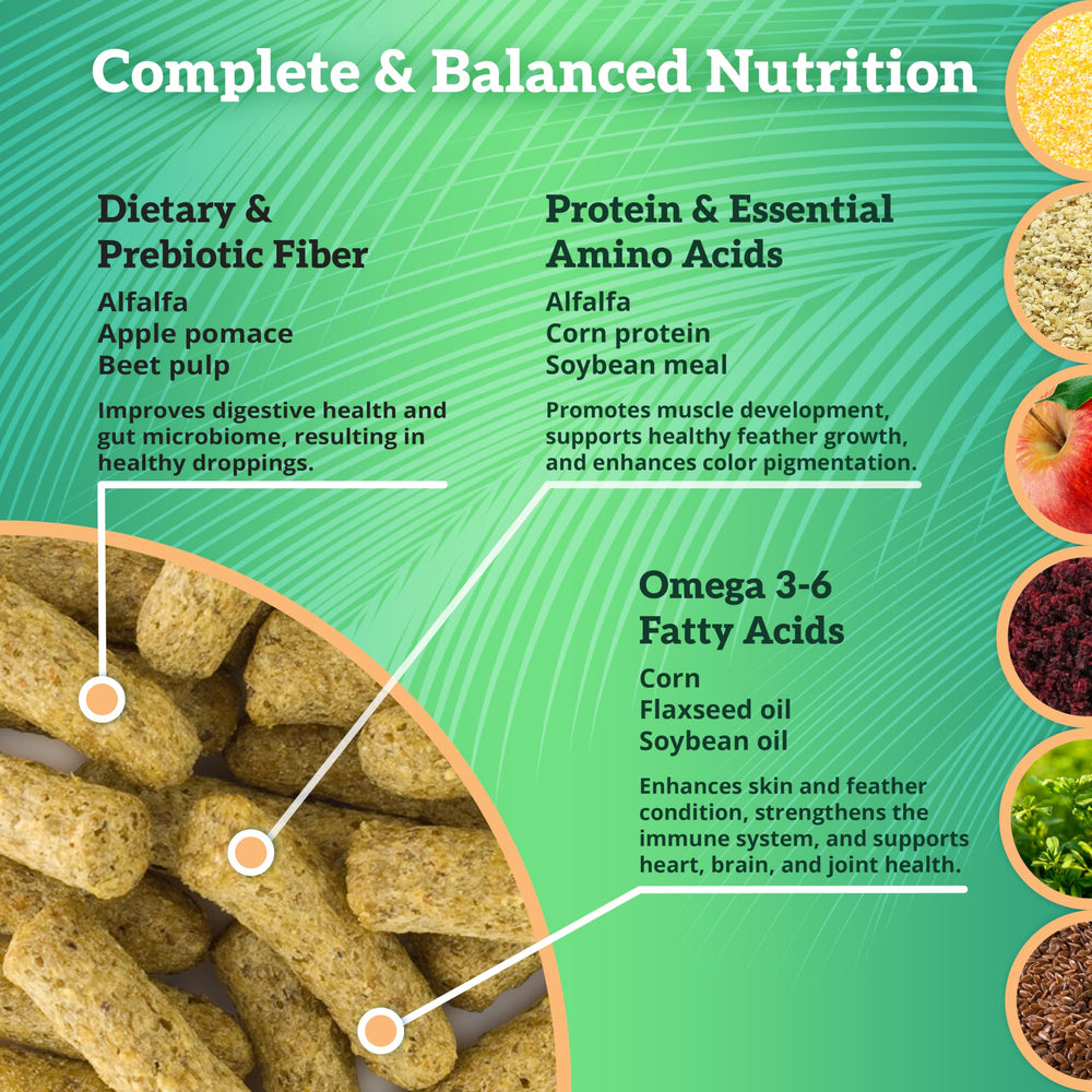 Scenic Corn Jungle African Grey pellets offer calcium and vitamins for immune-supporting nutrition.