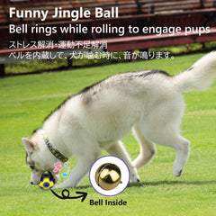 SCHITEC dog balls hollow design – holes visible for easy pickup during indoor fetch