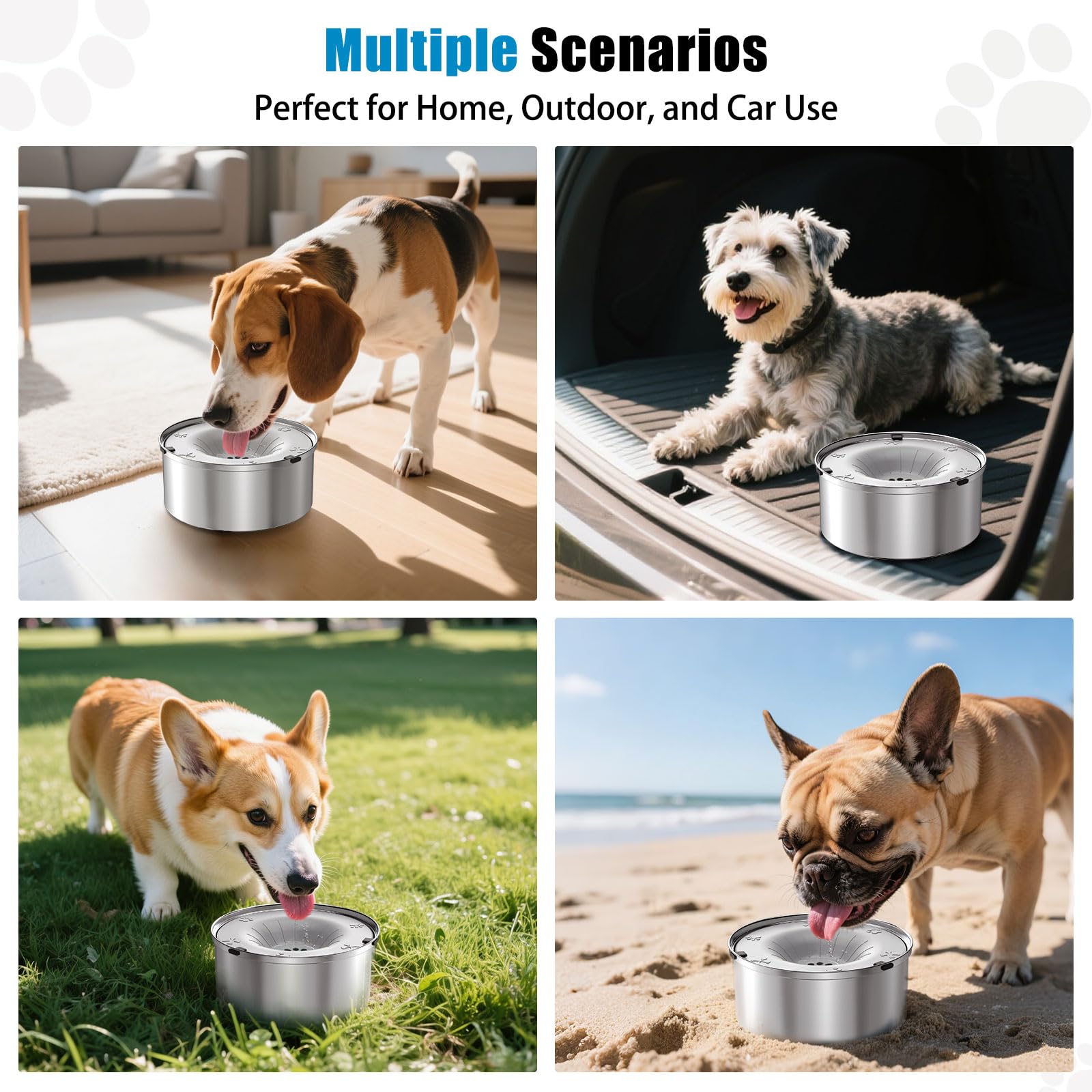 SCHITEC small 1.2L option fits small dogs and cats.