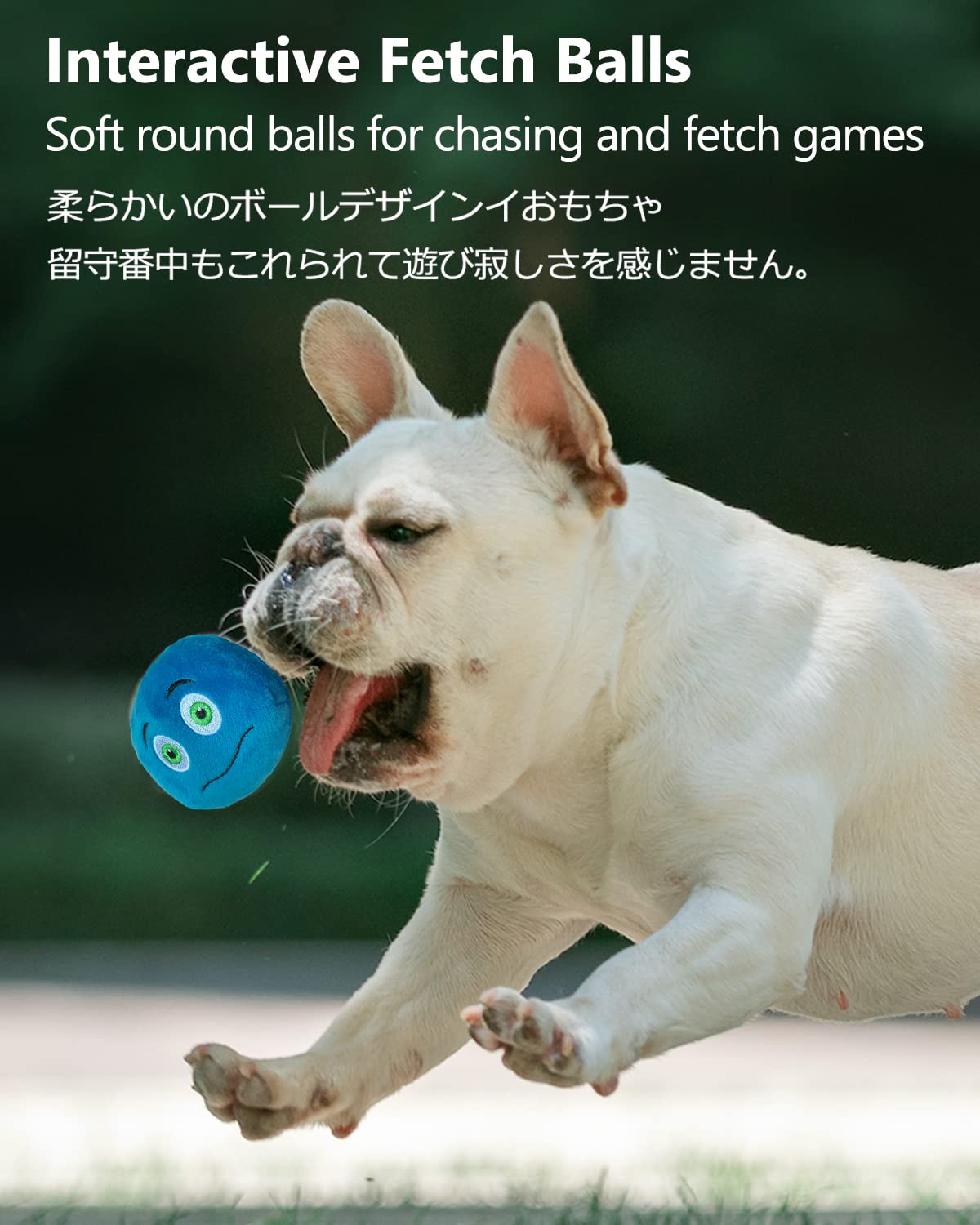 SCHITEC squeaky ball closeup squeaker emphasizes audible cue without being overpowering.